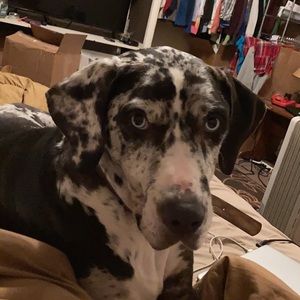 Meet your Posher, Rileigh